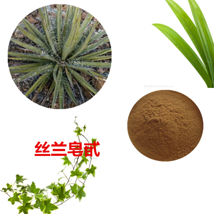 丝兰提取物 10:1 水提 丝兰皂苷 20% 40% 丝兰浸膏