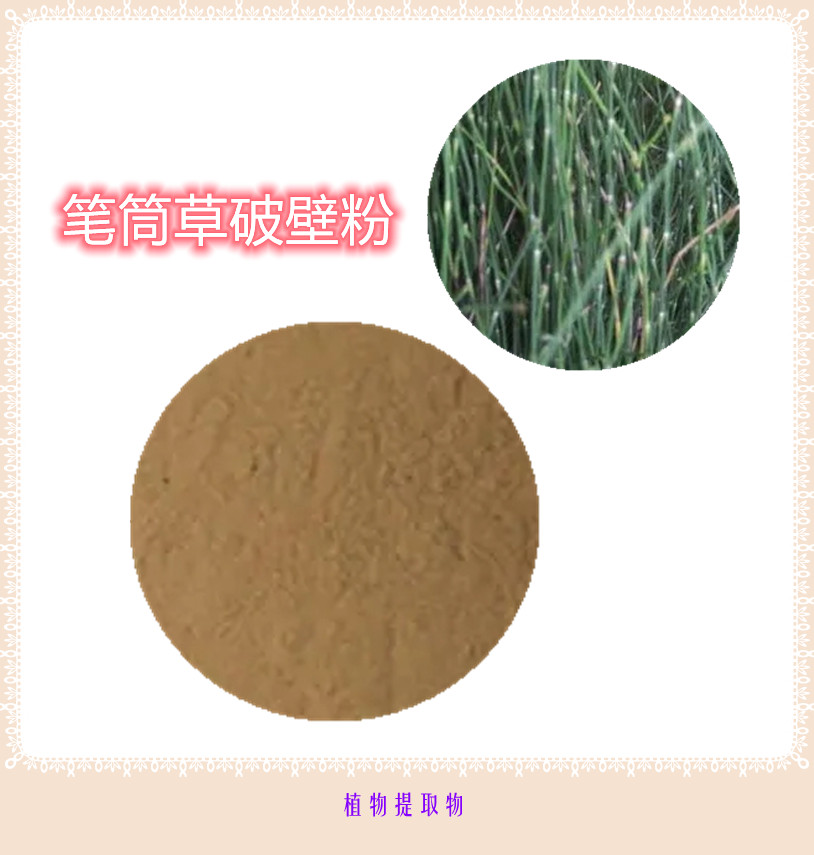 笔筒草提取物 10:1 水提 笔筒草浸膏 笔筒草浓缩粉
