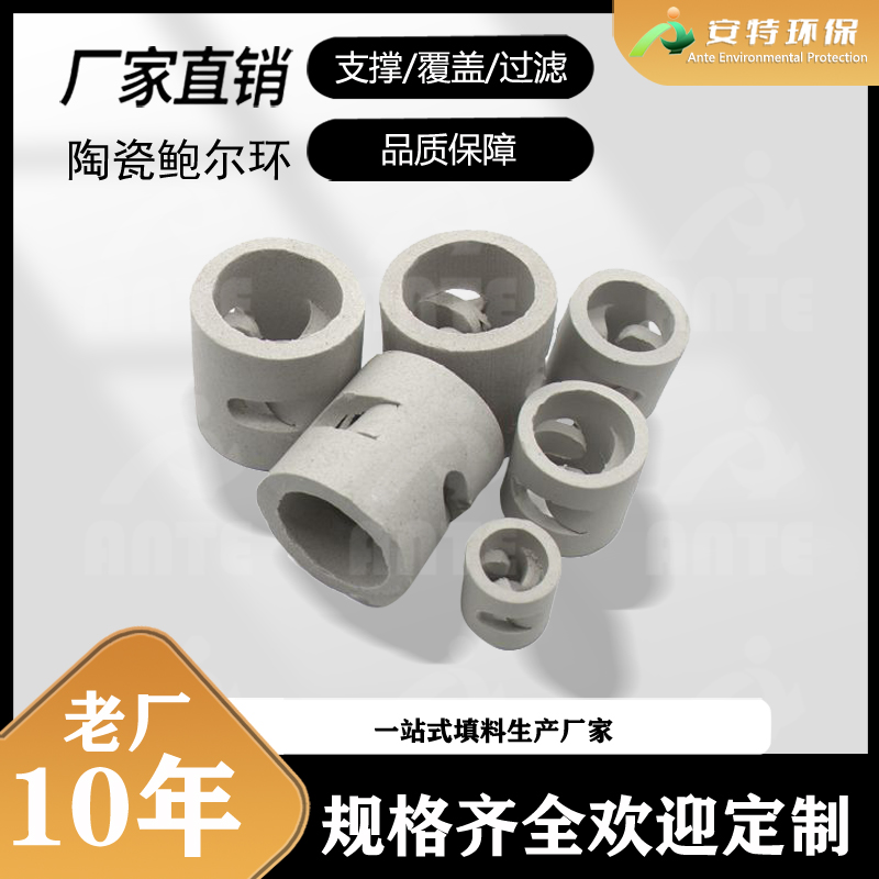 陶瓷鲍尔环25mm 38mm 50mm 80mm 型号全 喷淋塔陶瓷填料 安特出品