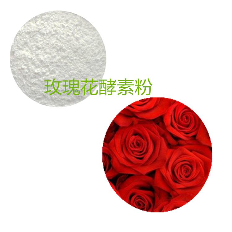 玫瑰花提取物 10:1 水提 玫瑰花粉 重瓣玫瑰提取物
