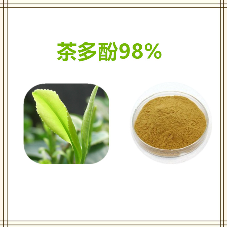 沃特莱斯生物 茶多酚 绿茶提取物 水溶性好 1公斤起订 可寄样