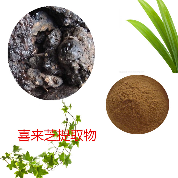 喜来芝提取物 10:1 水提 喜来芝多肽 富里酸 50%