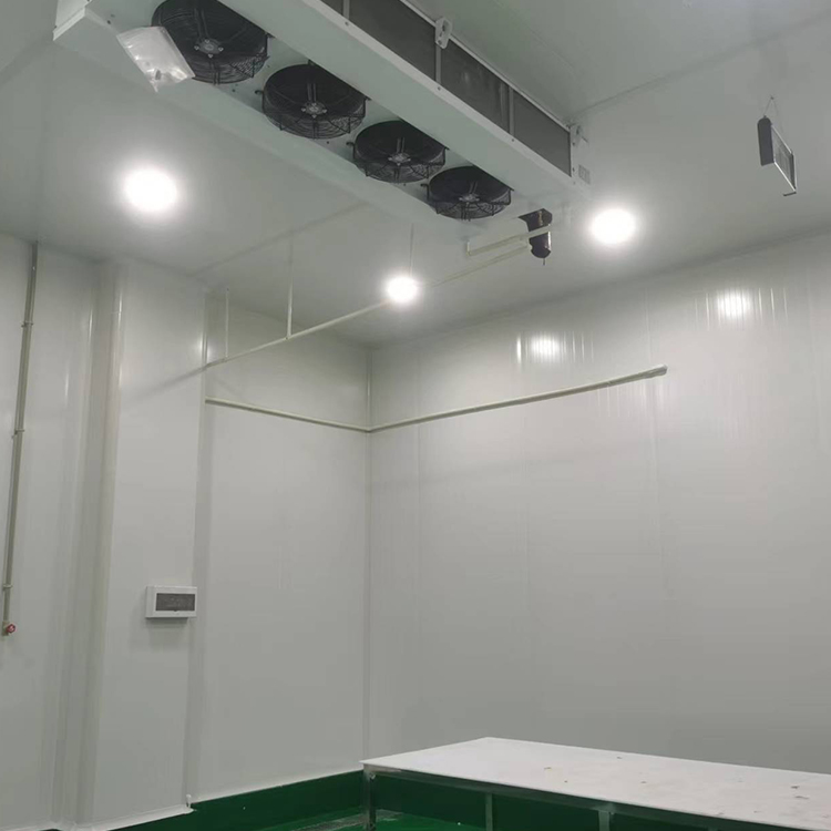 成都食品保鲜冷藏冻库冷库厂家 蔬菜水果速冻  冻库 制冷设备