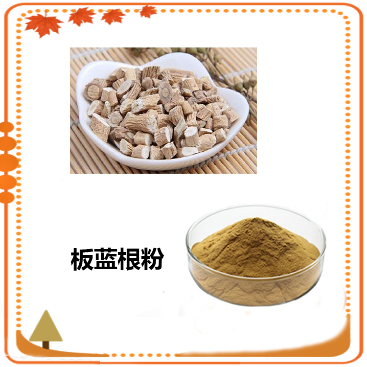 板蓝根提取物 10:1 水提 板蓝根多糖 30% 板蓝根粉