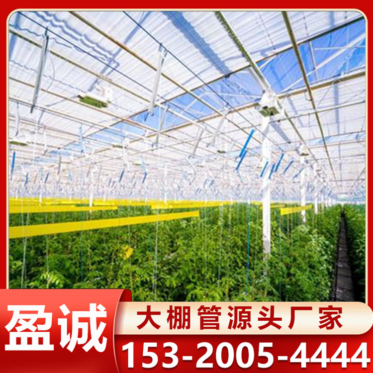 蔬菜种植瓜果棚 智能温室大棚厂家 大棚管批发定制