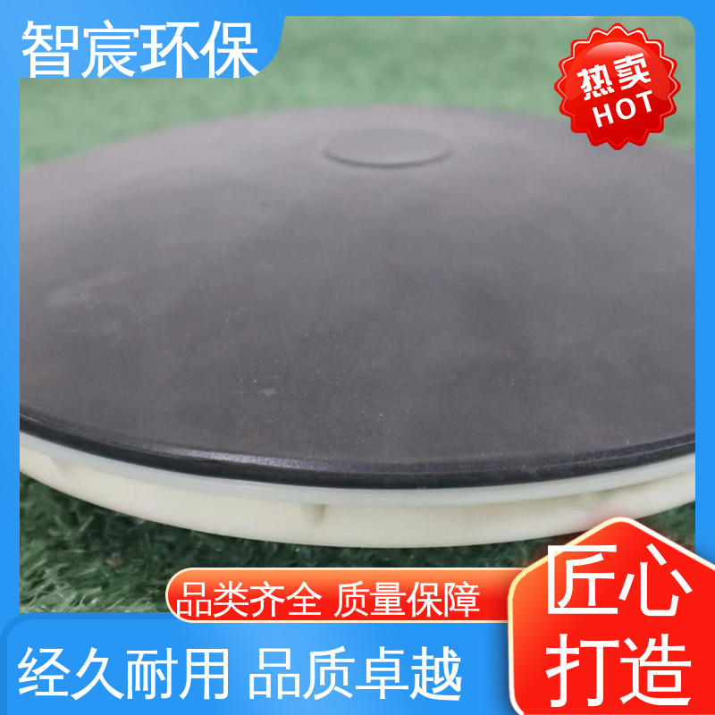 氧利用率高 排水曝气充氧 维护便捷 盘式微孔曝气器 智宸