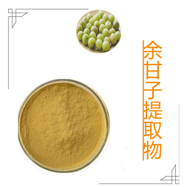 余甘子提取物    固体饮料   粉末流动性好     植物原料   食品级   包邮