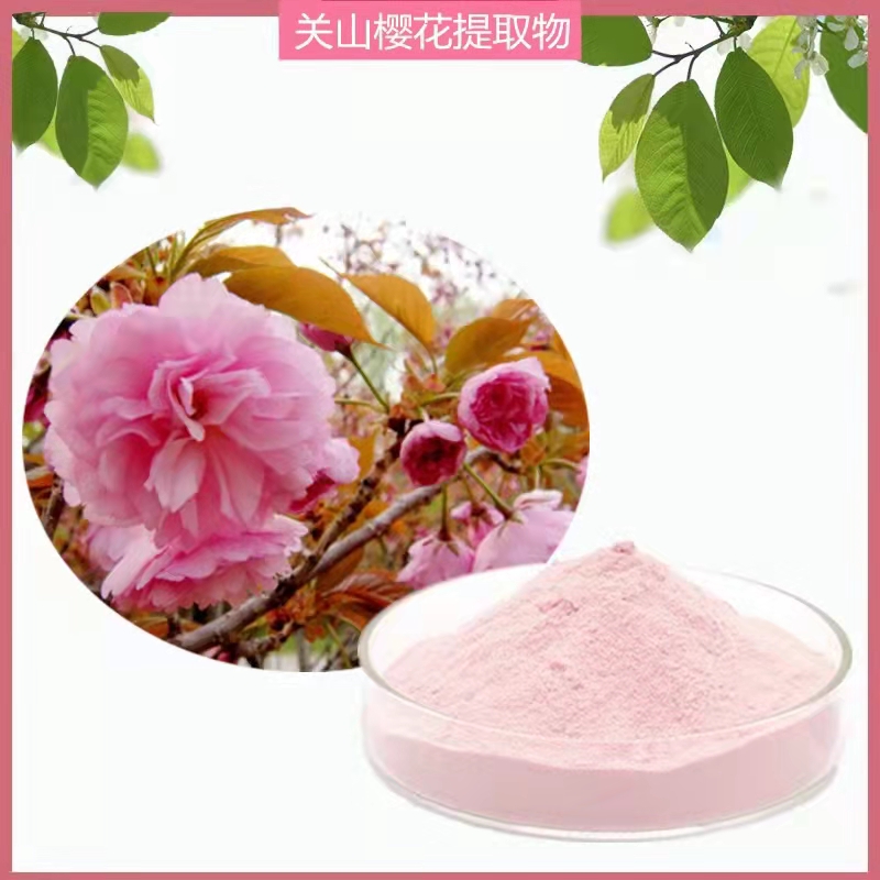 沃特莱斯生物 关山樱花粉 食品原料 关山樱花提取物 可定制