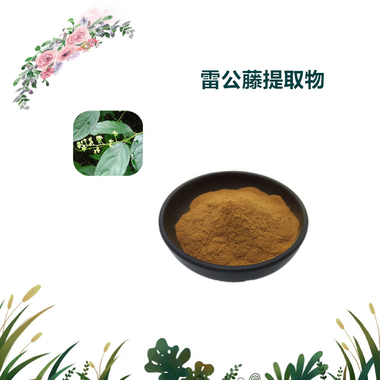 沃特莱斯生物 雷公藤提取物 速溶粉 萃取粉 1公斤起订 可寄样