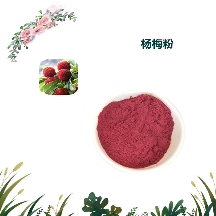 沃特莱斯生物 杨梅粉 杨梅速溶粉 喷雾干燥粉 1公斤起订