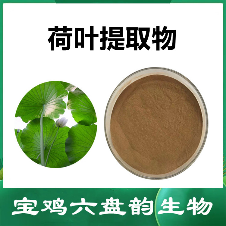 荷叶提取物 浓缩粉 浸膏  膳食纤维粉 喷雾干燥粉 六盘韵生物