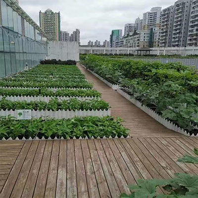 供应屋顶轻质土种植土适用于月季蔷薇促进植物生长营养土