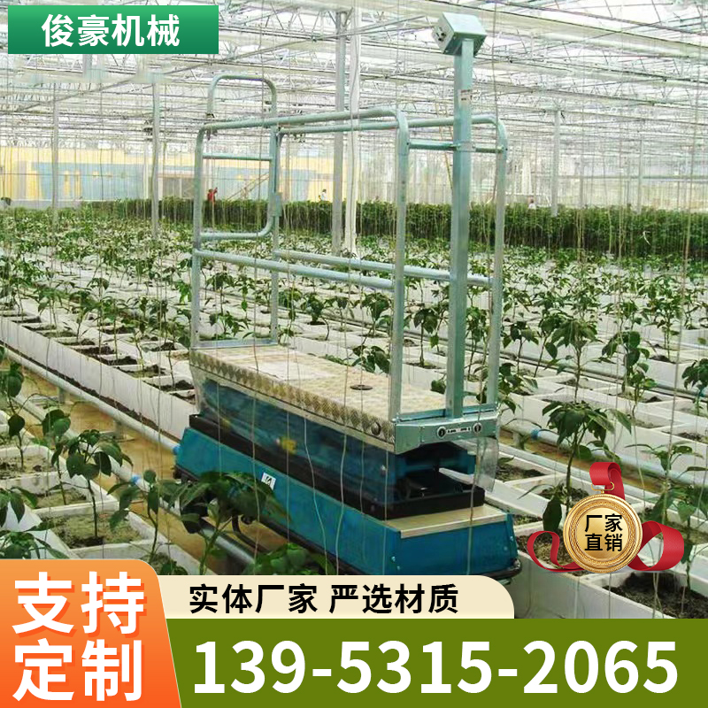 温室升降车轨道自行走 移动轨道式电动升降机果蔬大棚自行轨道车