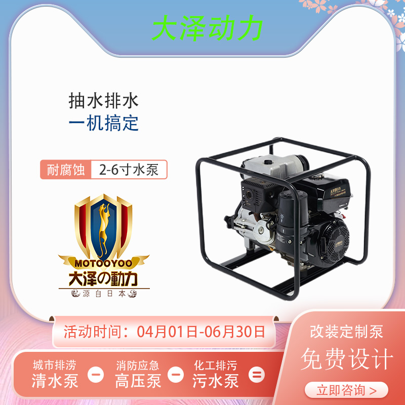 大泽动力2寸柴油水泵