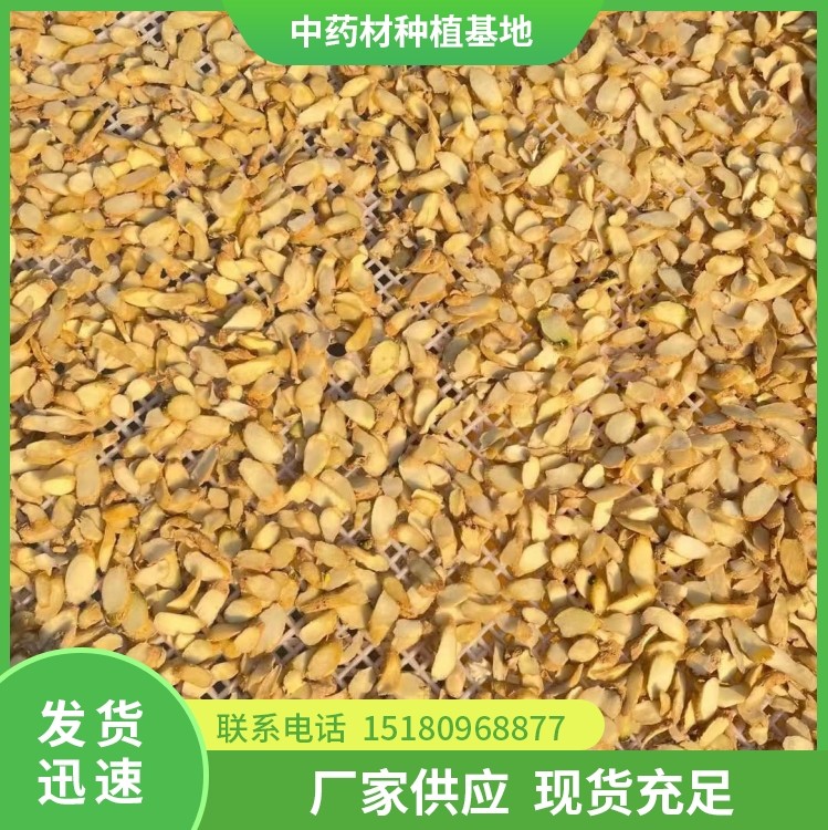 玉竹片 厂家大量现货批发