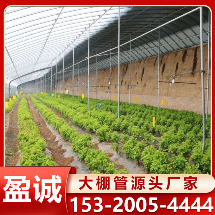 智能温室大棚 蔬菜大棚建筑 阳光花卉种植 大棚管定制