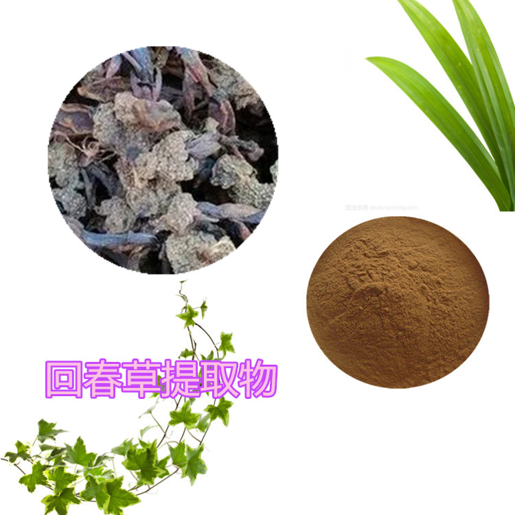 刺蓬花提取物 10:1 水提 多规格比例 刺蓬花粉
