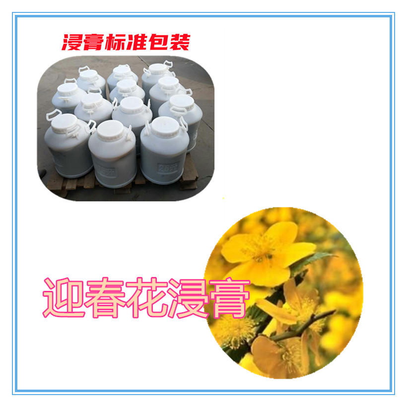 食叶草粉 100目 食叶草提取物 10:1 水提 食叶草浸膏粉