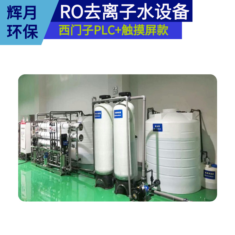 工业去氯离子水设备 智能纯水机 辉月环保 大型反渗透设备可订制