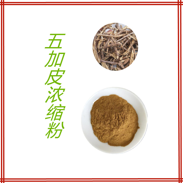 五加皮浓缩粉  食品级  含多种营养成分 比例产品   粉末细腻  可寄样