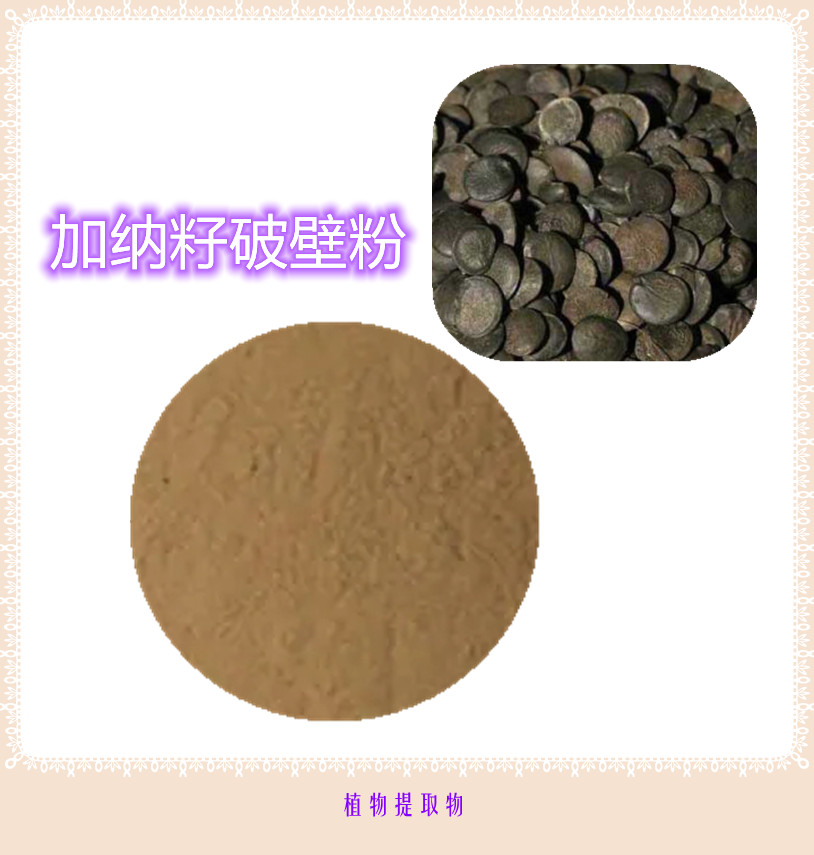 加纳籽提取物 10:1 水提 加纳籽粉 98% 加纳籽提取液 10:1
