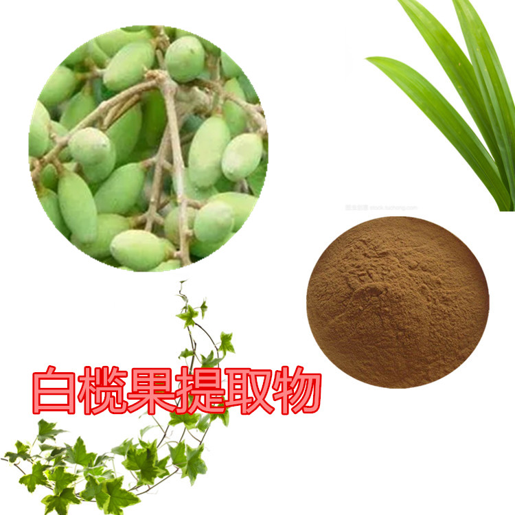 白榄果提取物 10:1 水提 多规格比例 白榄果浸膏 1.15比重