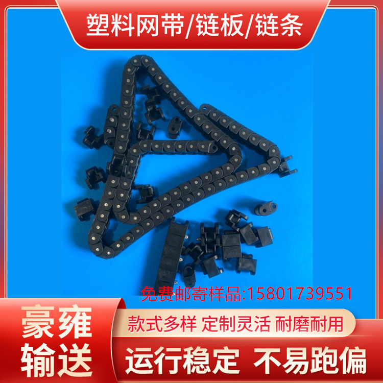 40P 50P 60P防静电传动链条 输送链 pp链条 POM链条 PVDF链条