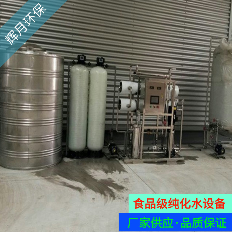 水处理设备厂家 辉月双级RO纯水机 18兆欧高纯水设备