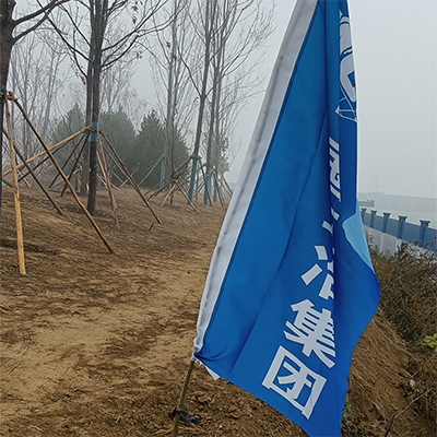 供应信盈散装工程绿化种植土腐殖土合成草炭土改良土壤