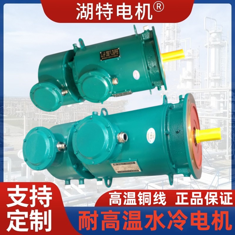 YZPSLE、YZLNYPEJ、YZWTEJ水冷电磁制动变频电机