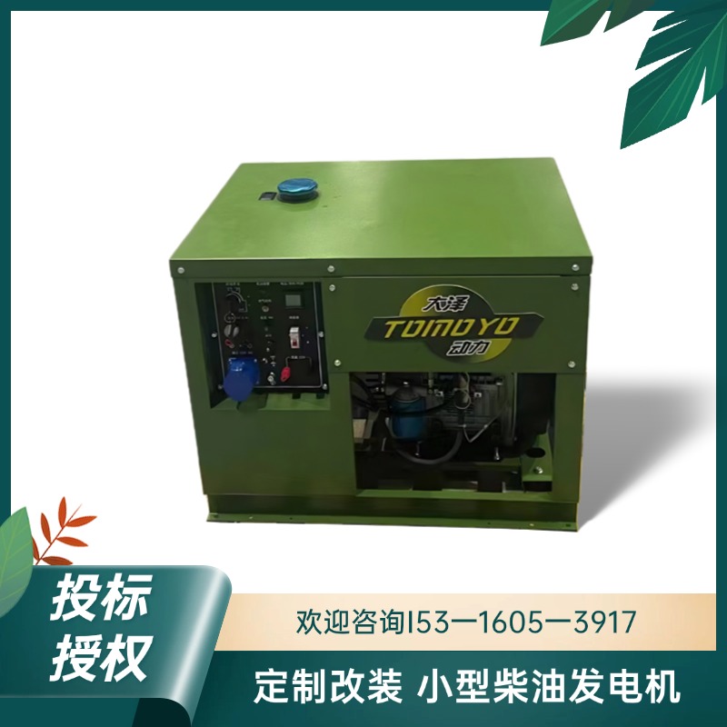 大泽动力10千瓦柴油发电机485接口TO14000-HZP
