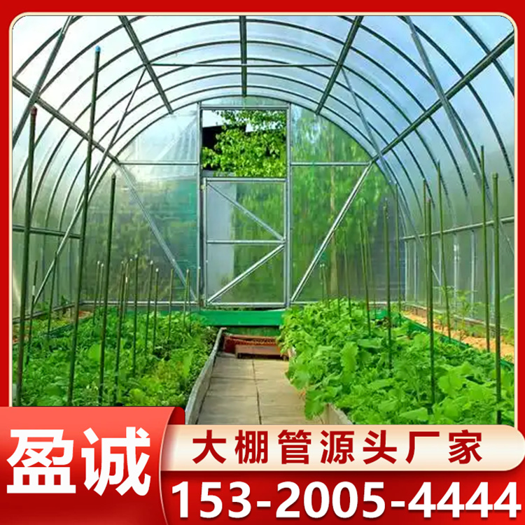 智能蔬菜花卉温室工程建造 草莓葡萄种植棚 防寒抗雪能力强