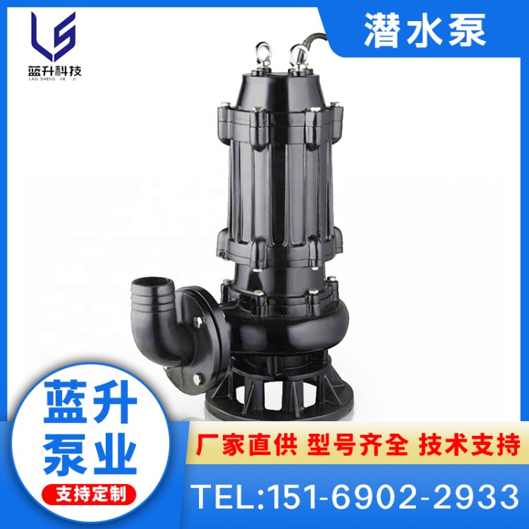 蓝升泵业 防爆 不锈钢 潜水泵 立式 潜水 自吸 自动 搅匀 集水坑 切割 管道 排污泵