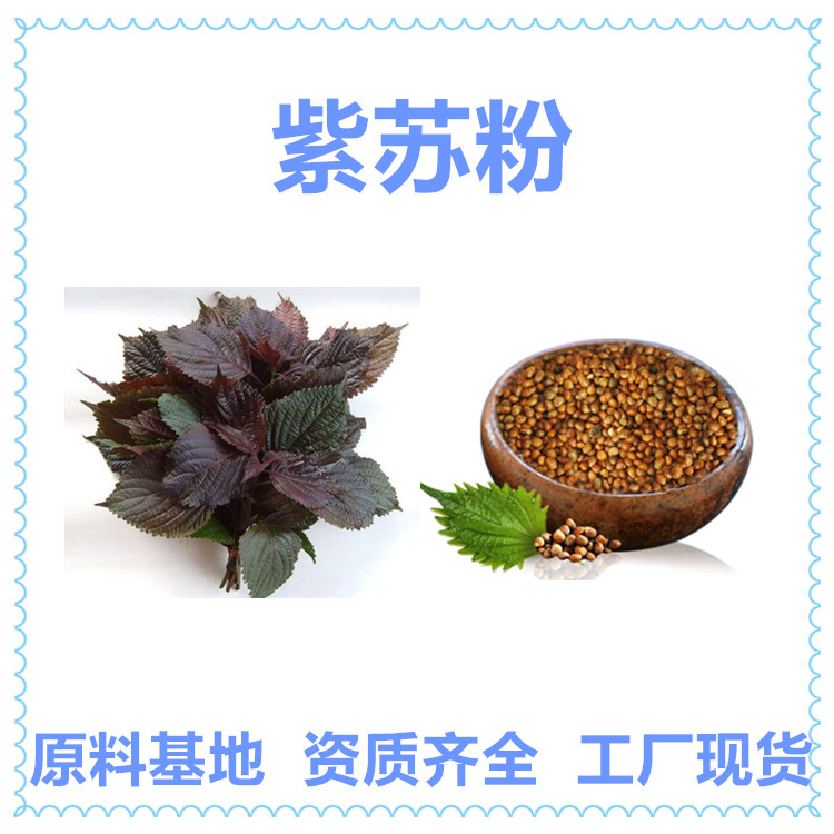 紫苏粉 水溶叶子或者籽多规格浓缩提取 纸板桶可拆包