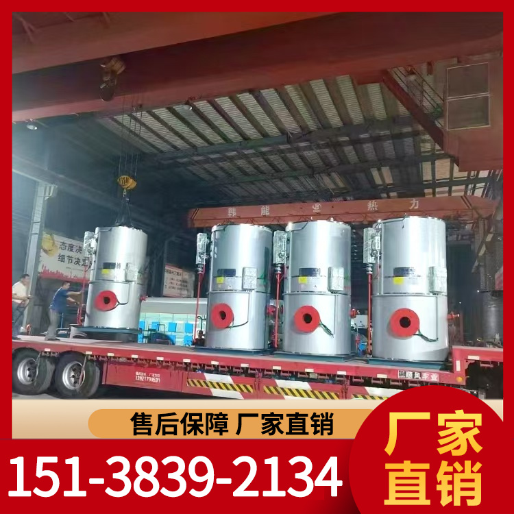燃气蒸汽发生器 燃油蒸汽发生器 厂家现货销售 力能锅炉 批发充足货源