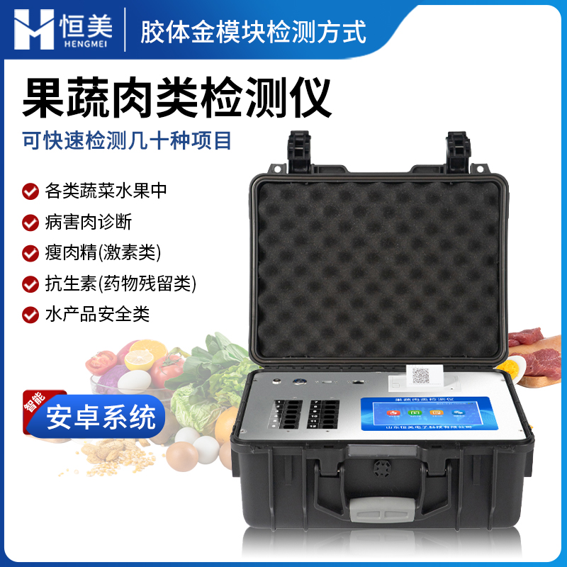 果蔬肉类检测仪 检测精准