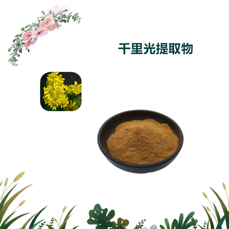 沃特莱斯生物 千里光提取物 萃取粉 喷雾干燥粉 1公斤起订