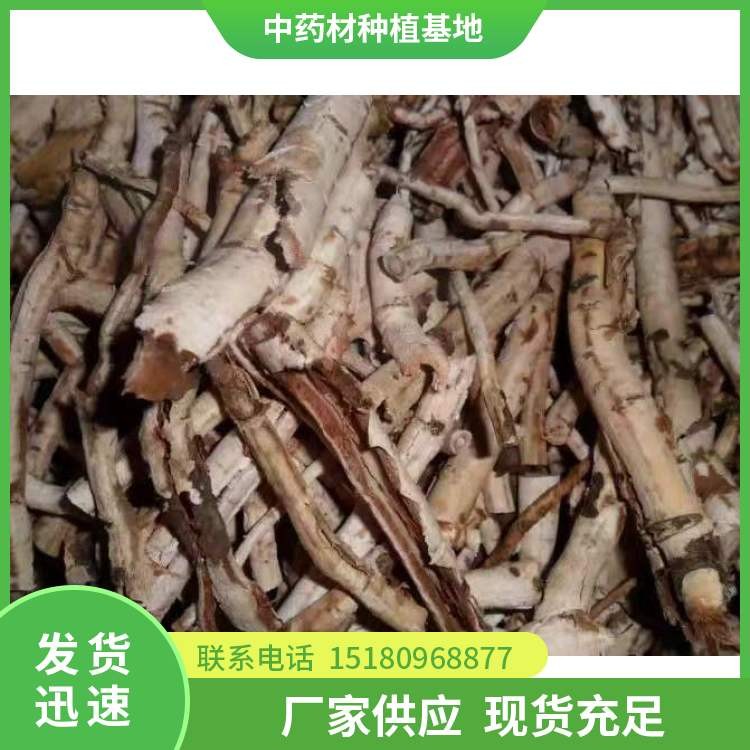 牡丹皮种苗 批发基地 量大从优
