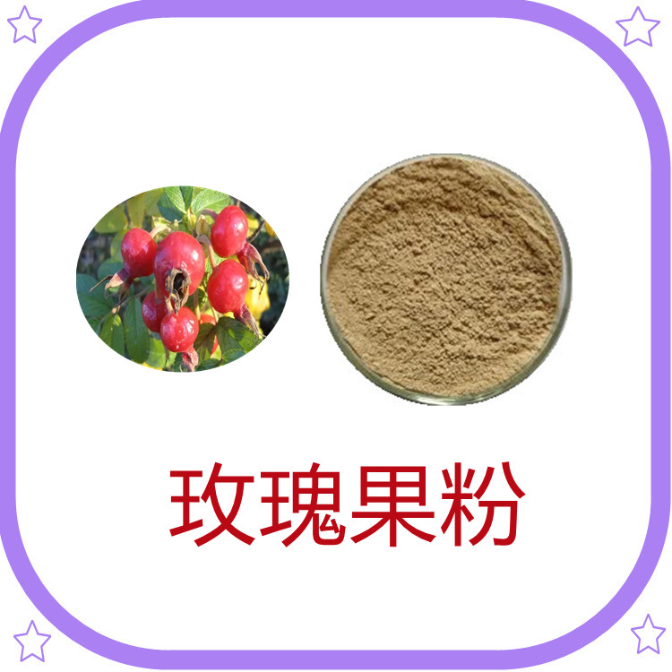 玫瑰果粉   三遍水提  固体饮料  粉末流动性好  食品级  质量稳定