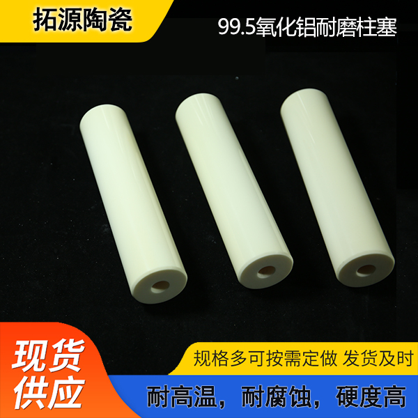 拓源 耐磨氧化铝柱塞 99.5%高纯度氧化铝密封圈非标定制
