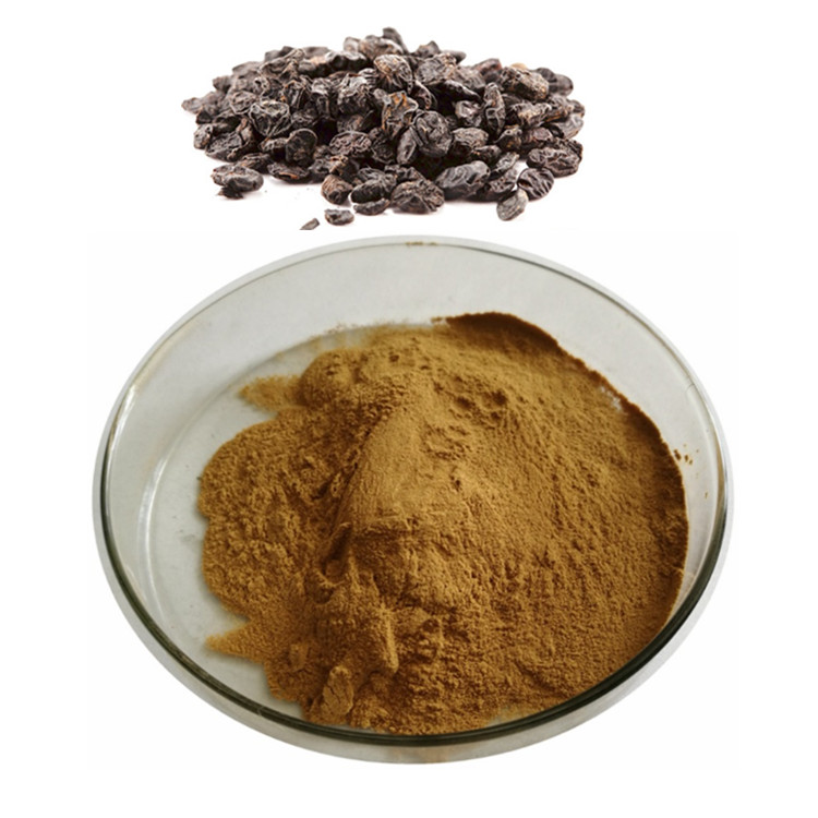 淡豆豉粉 斯诺特生物可拆包打样定制 水溶