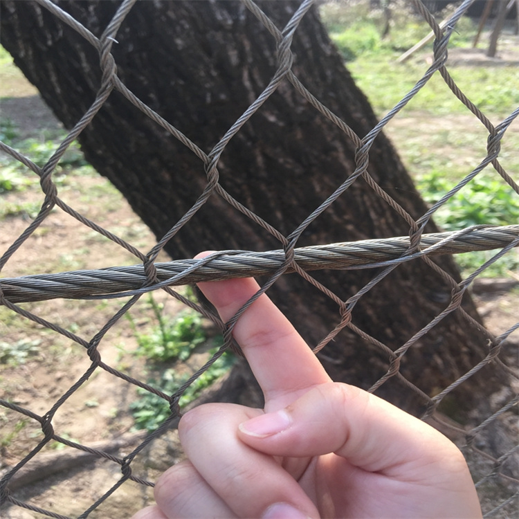 不锈钢绳网 外墙瓷砖防坠落网 植物攀爬绳网 鹏方 可定制