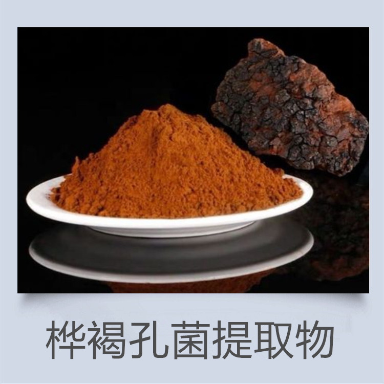 桦树茸多糖粉  白桦茸提取物 金耳提取物 黑松露粉