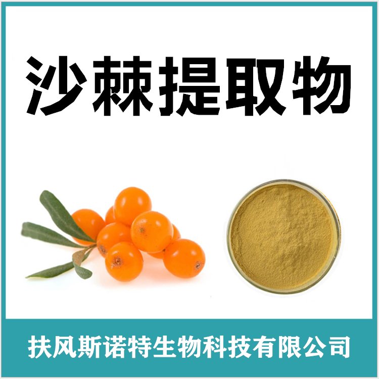 沙棘粉 小分子沙棘肽 沙棘浓缩粉 多规格比例黄酮