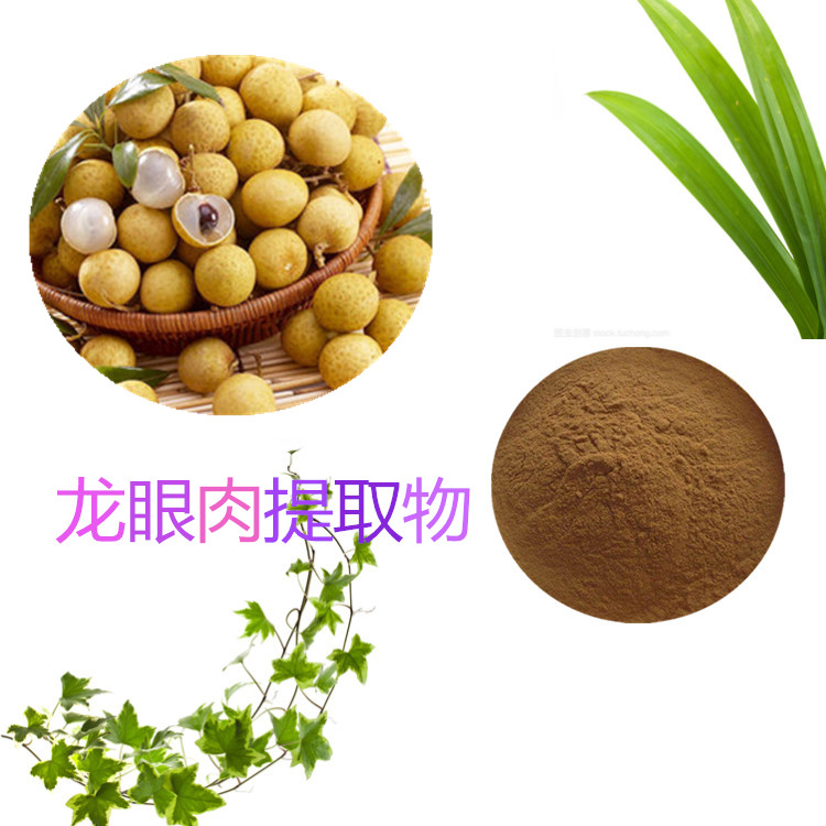 桂圆速溶粉 龙眼肉提取物 10:1 桂圆多糖 30% 50%