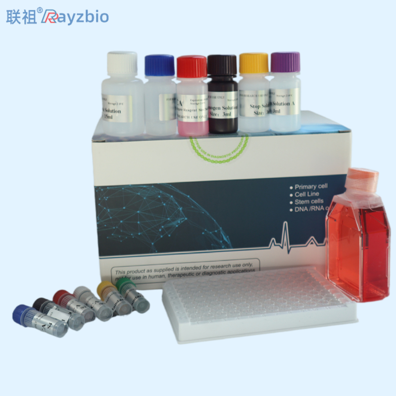 PCR扩增试剂盒