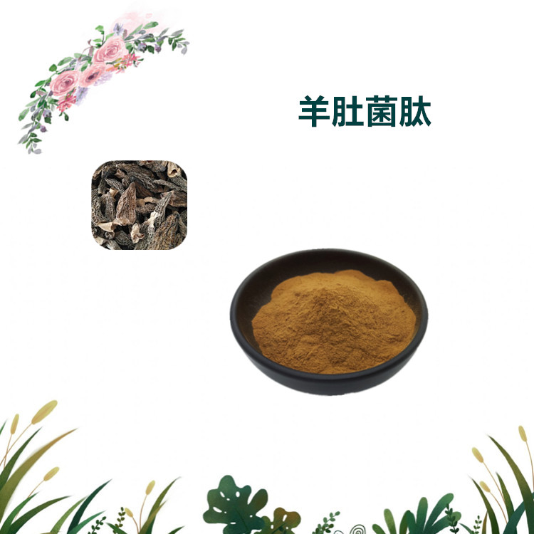 沃特莱斯生物 羊肚菌多肽 羊肚菌提取物 水溶粉 1公斤起订