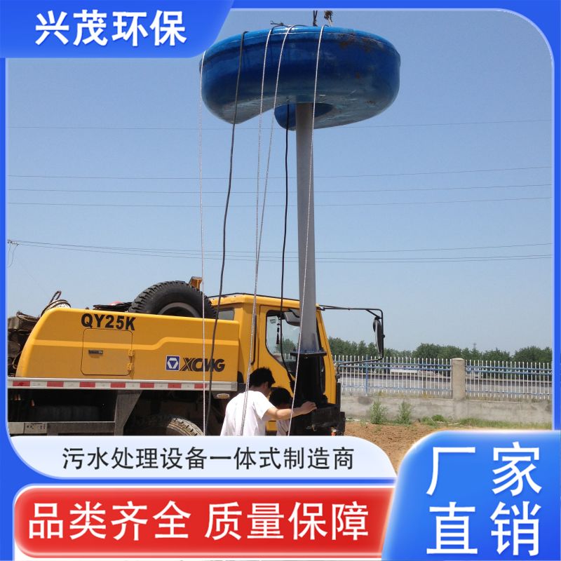 长期供应 达到污水排放简洁化 浮筒搅拌机 承重耐压抗震