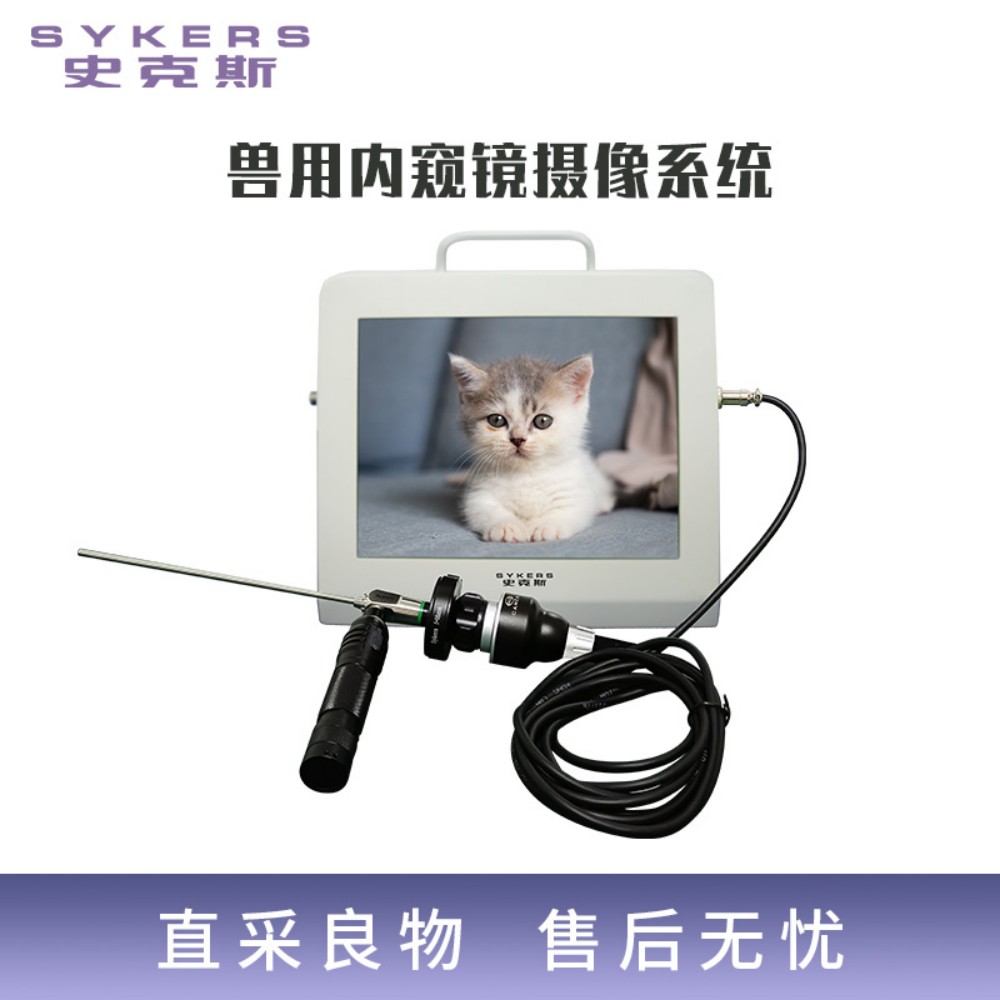 兽用内窥镜摄像系统 动物腹腔镜 宠物胃肠镜 小动物耳鼻喉关节摄像系统  手术器械  国产内窥镜 源头厂家 厂家直销