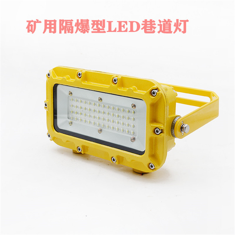 8-100W矿用巷道灯DJS18/127LJ（A）矿用隔爆兼本质型LED应急灯